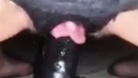 Free Xxx English Porn Videos Xhamster