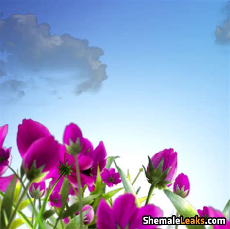 MarvelCharm TeenMarvel Sabinatomkova Leaked Nude OnlyFans Photo ShemaleLeaks