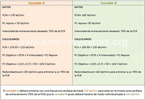 Entrenamiento Y Frecuencia Cardíaca Arterias Y Venas