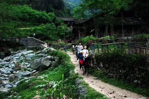 湖湘自然历丨清凉一夏⑳峡谷溯溪，体验茶马古道 湖湘自然历 新湖南