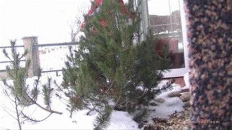 EN Andrea P 21 NUDE IN PUBLIC The REAL One Clips4sale