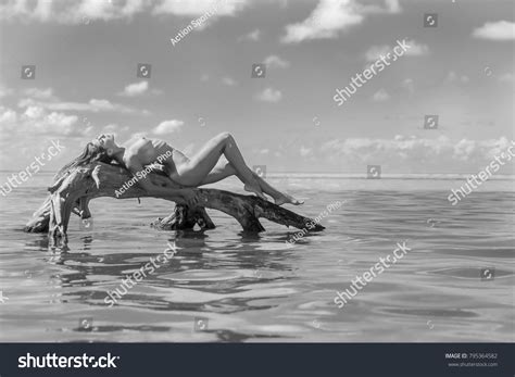 Nude Hispanic Brunette Model Enjoying Beach Stock Photo 795364582