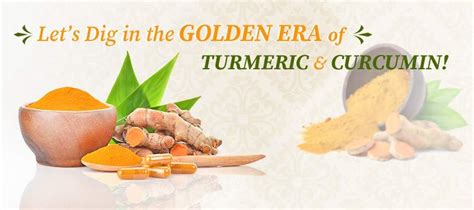 10 Proven Turmeric And Curcumin Benefits For Your Health Organic Gyaan