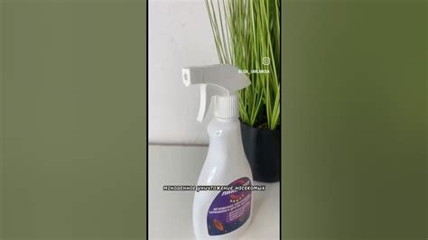 Лучшее средство против тараканов Ликвидез 💪🏻Артикул на WB 246427860 # ...