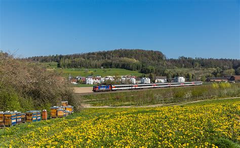 Re 421 379 Der SBB Zwischen Rafz Und Lottstetten