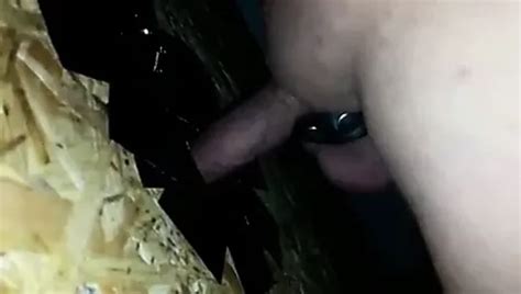 Free Gloryhole Blowjob Shemale Porn Videos Xhamster