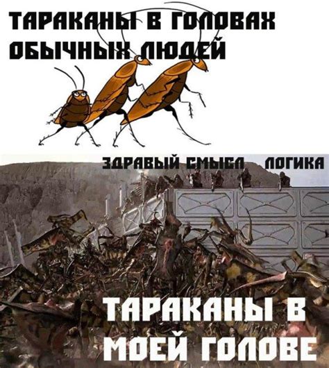 Демотиваторы тараканы (45 фото) » Юмор, позитив и много смешных картинок