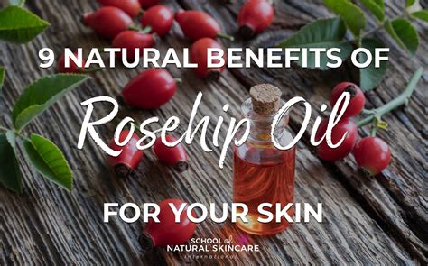 Natural Benefits Of Rosehip Oil For Your Skin School Of Natural