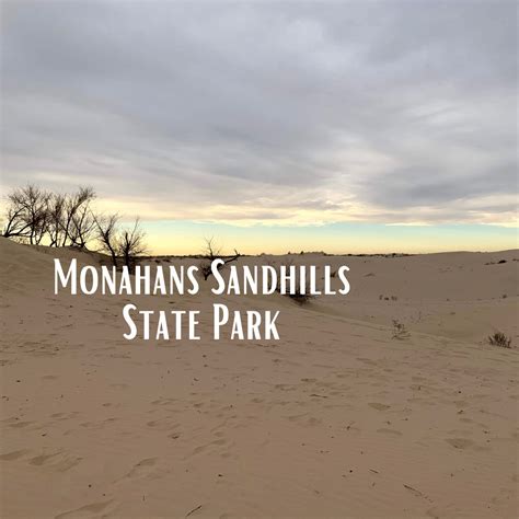 Monahans Sandhills State Park – Consider the Wonders