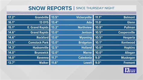 Michigan Snowfall Totals 2024 - Helsa Krystle