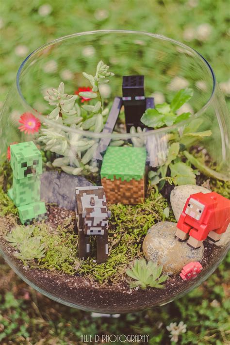 My Terrarium I Finally Made Minecraft Terrarium Minecraft Bedroom