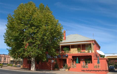 tofu photography tumut trees