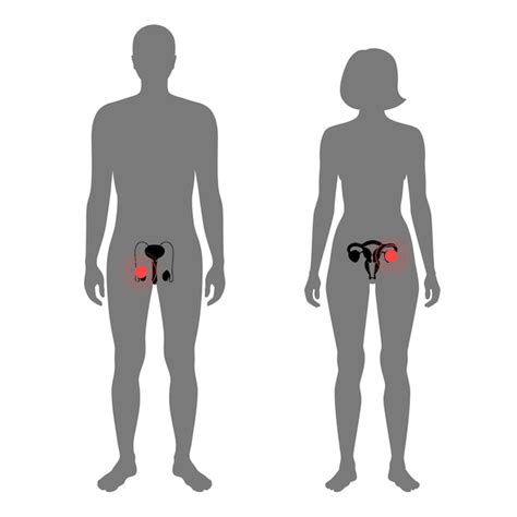 Dolor En El Cuerpo Humano Vector Premium