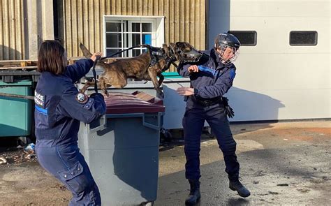 Mon Chien Cest Mon Bin Me La Brigade Canine Appui De Choix De La