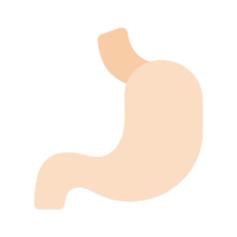 Human Body Organ To Receive And Process Food Stomach Icon 45492944