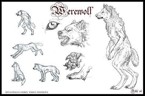 Browse Art Werewolf Drawing Werewolf Art Werewolf