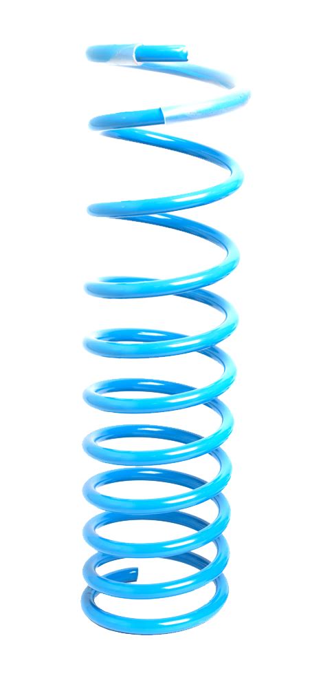 Заниженные пружины Sport Line задней подвески -70 для LADA Priora ...