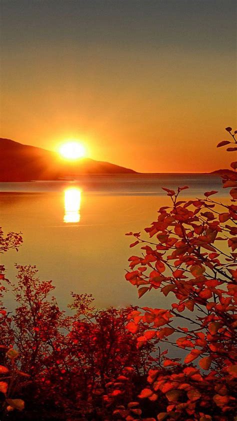 Beautiful Fall Sunset Wallpapers 4k Hd Beautiful Fall Sunset Backgrounds On Wallpaperbat