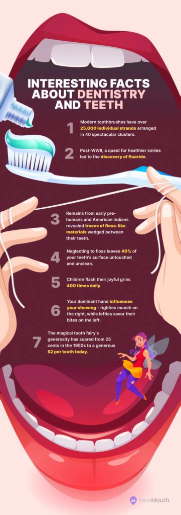 39 Fun Interesting Facts About Dentistry Teeth