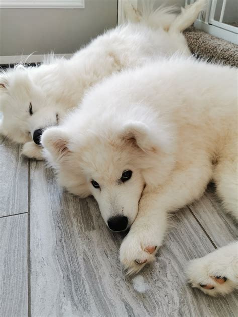 Alinity on Twitter: "@autumnrhodess That's always such a hard thing to