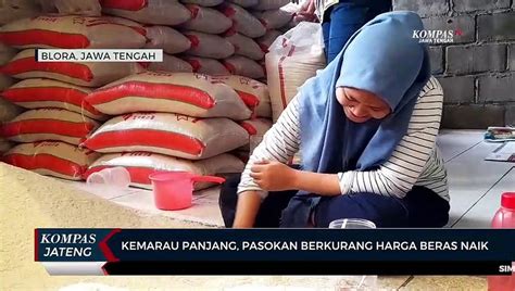 Kemarau Panjang Pasokan Berkurang Harga Beras Naik Video Dailymotion