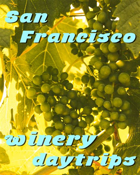 California Wine Tour Via BART (Tri-Valley)