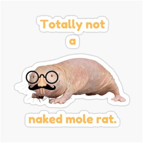 Totally Not A Naked Mole Rat Disguise Mole Rat Sticker By Redga Redbubble