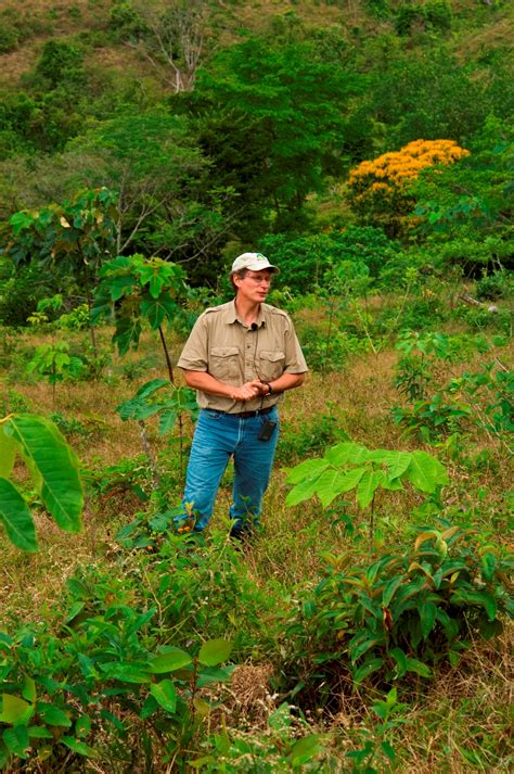 Reforestation Research in Latin America Helps Build Better Forests