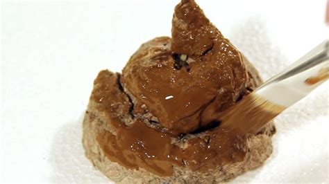 Quando O Coco Afunda O Que Significa - Seu cocô boia ou afunda? Aprenda o que isso tem a ver com sua saúde ...