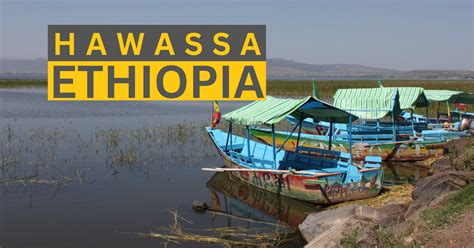 The Best Cafés In Addis Ababa 2024 Hulunem