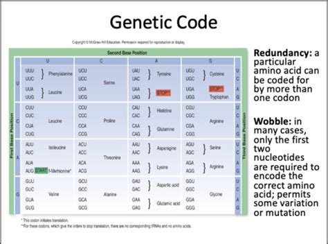 Chapter Microbial Genetics Flashcards Quizlet