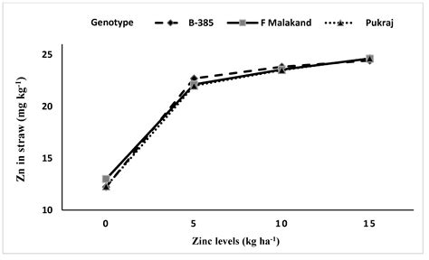 Agronomy Free Full Text Phosphorus And Zinc Fertilization Improve Zinc Biofortification In