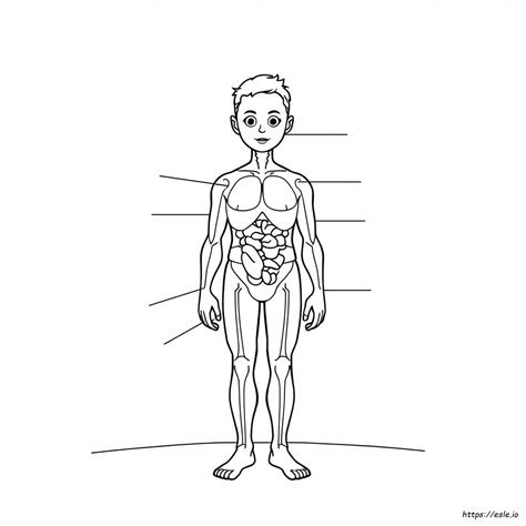 My Body Parts Coloring Pages
