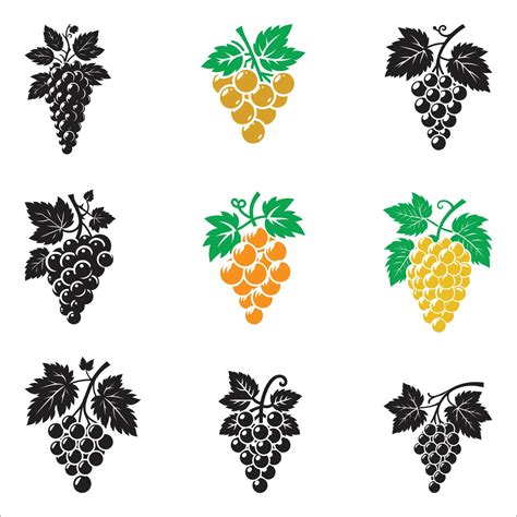 grapes silhouette set collection icons isolated  white background