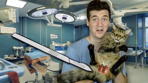 Neutering My Cat! **SURGICAL** - YouTube