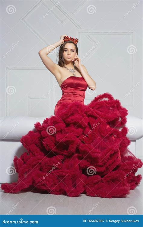 Mooie Brunette Poseren In Een Studio Stock Afbeelding Image Of Kroon Glamour