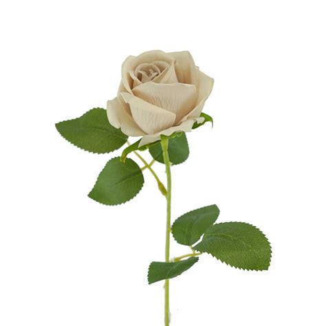 Mini Rose Katie Nude 51cm Desflora