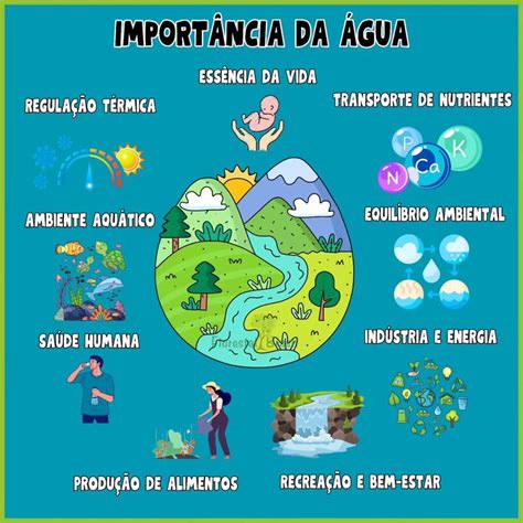 Porque A Agua É Fundamental Para O Funcionamento Celular - A água é essencial para a vida e desempenha um papel fundamental em ...