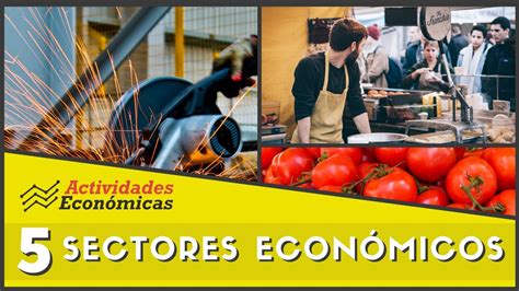 Los Sectores Econ Micos Econom A Ejemplos Y Caracter Sticas Youtube