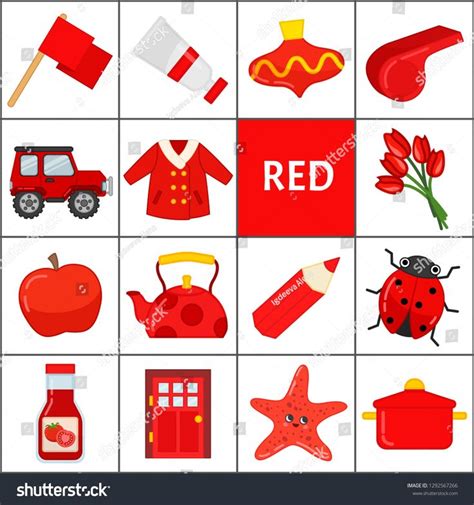 learn primary colors red  objects stock vector royalty