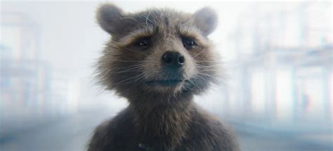 Does Rocket Die In Guardians Of The Galaxy Vol 3 Answered The