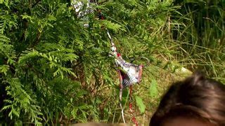 Fantasy Tube Lesbian Porn Videos