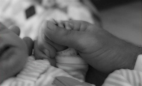 Gay Archives Oveja Rosa Revista Sobre Familias Y Amor Homosexual