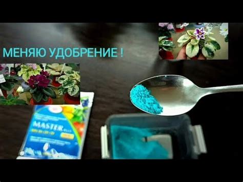 ЛУЧШЕЕ УДОБРЕНИЕ ? МЕНЯЮ УДОБРЕНИЕ ДЛЯ ФИАЛОК !!! - YouTube