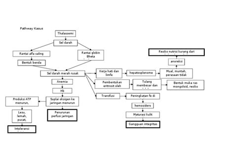 pathway kasus thalasemia