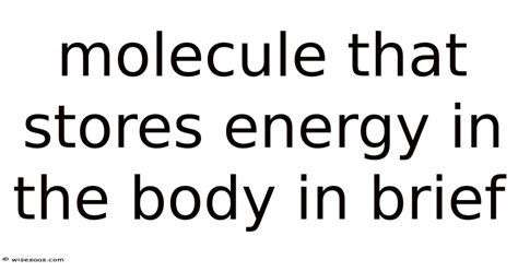 The Molecule That Stores Energy In The Body In Brief Are You Getting Enough Find Out