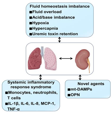 Organ Crosstalk in Acute Kidney Injury: Evidence and Mechanisms