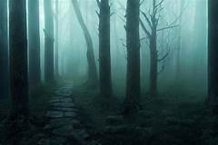 Misty Wet Streets Silent Screams The Unsolved Mystery That Haunts Me