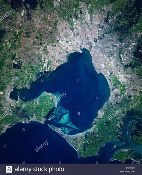 port phillip bay australia stock  port phillip bay australia