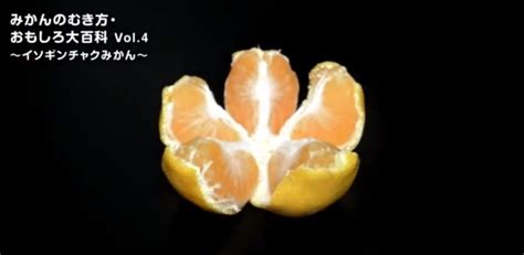 You've Been Peeling Oranges Wrong Your Whole Life